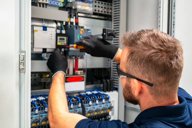 Best Local Electrician Companies  in Tarpon Springs, FL