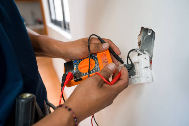 Best Electrical System Inspection  in Tarpon Springs, FL